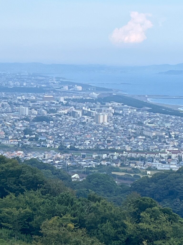 湘南平から望む市街地の風景