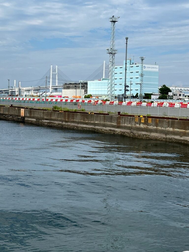 山下公園から見える横浜ベイブリッジ