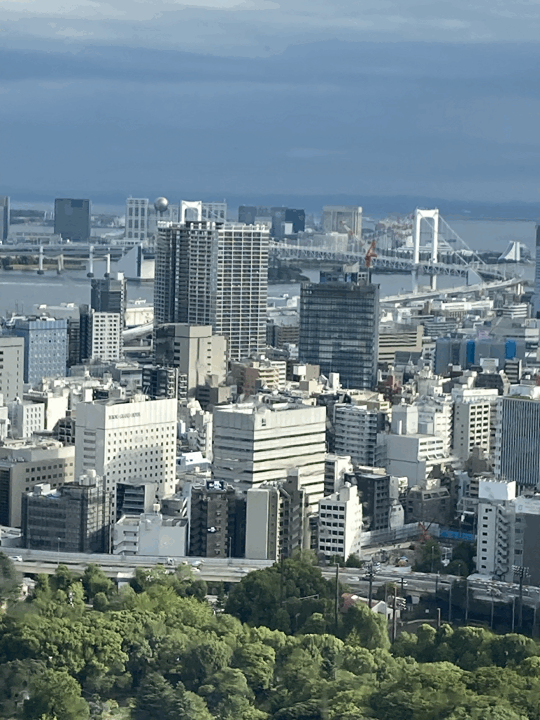 展望台から見えるレインボーブリッジとお台場エリアの景観