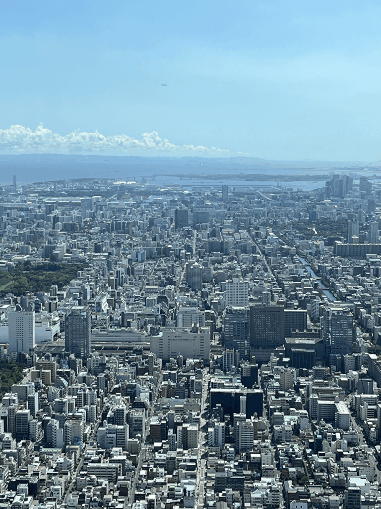 スカイツリー展望台から東京湾方面を望む景色。