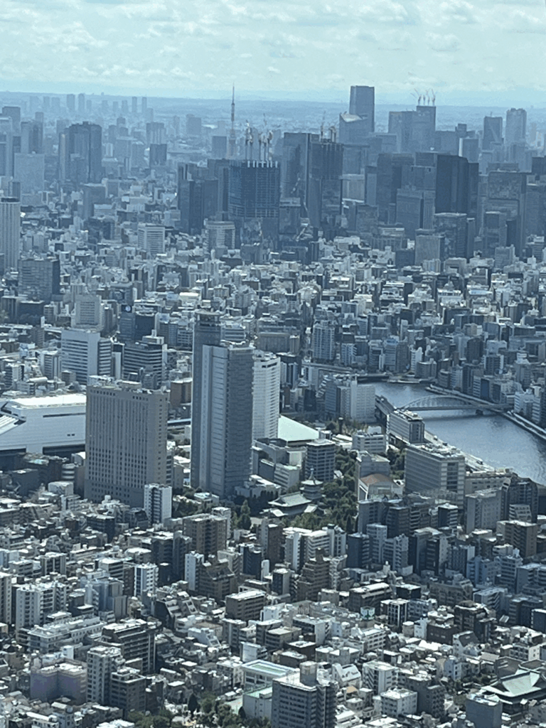 スカイツリー展望台から都心方面を望む。遠くに東京タワーも見える。
