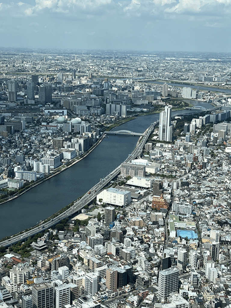 スカイツリーから隅田川を見下ろす景色。川沿いに街が広がる。